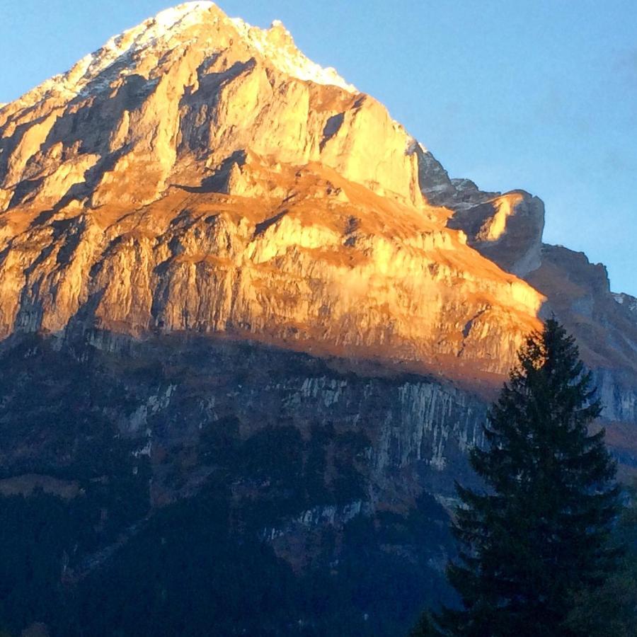 Apartamento Eiger, Jungfrau, Luxury Garden Grindelwald