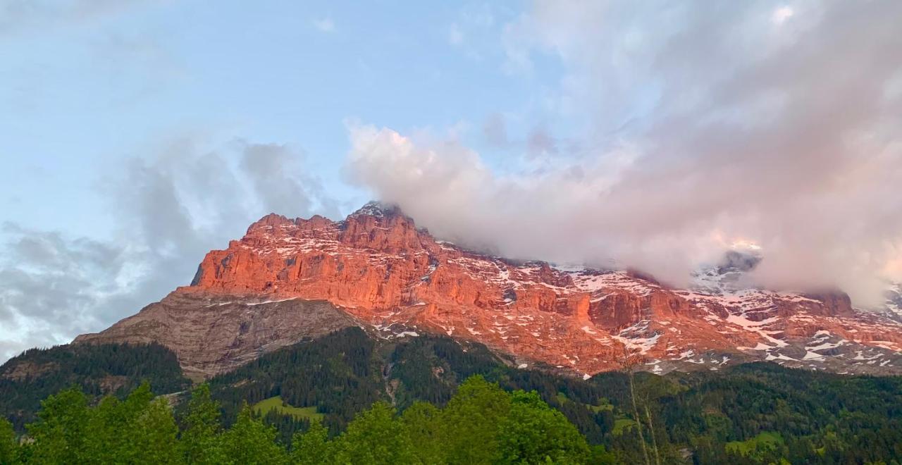 Apartamento Eiger, Jungfrau, Luxury Garden